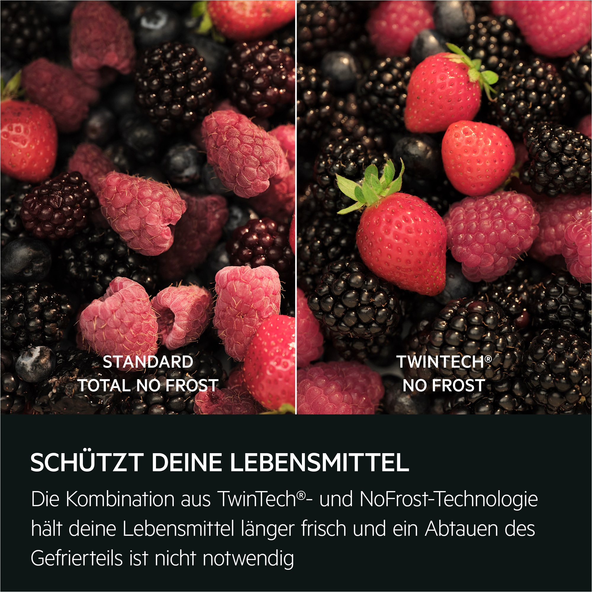 AEG - Einbau-Kühl-Gefrierkombinationen - EK7C75S