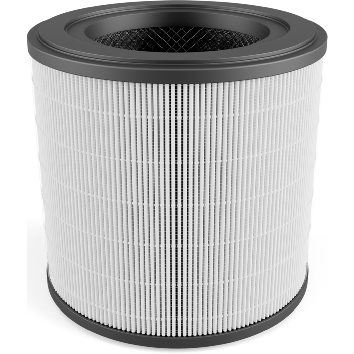 AEG - Filter für Luftreiniger - AFFCAR2