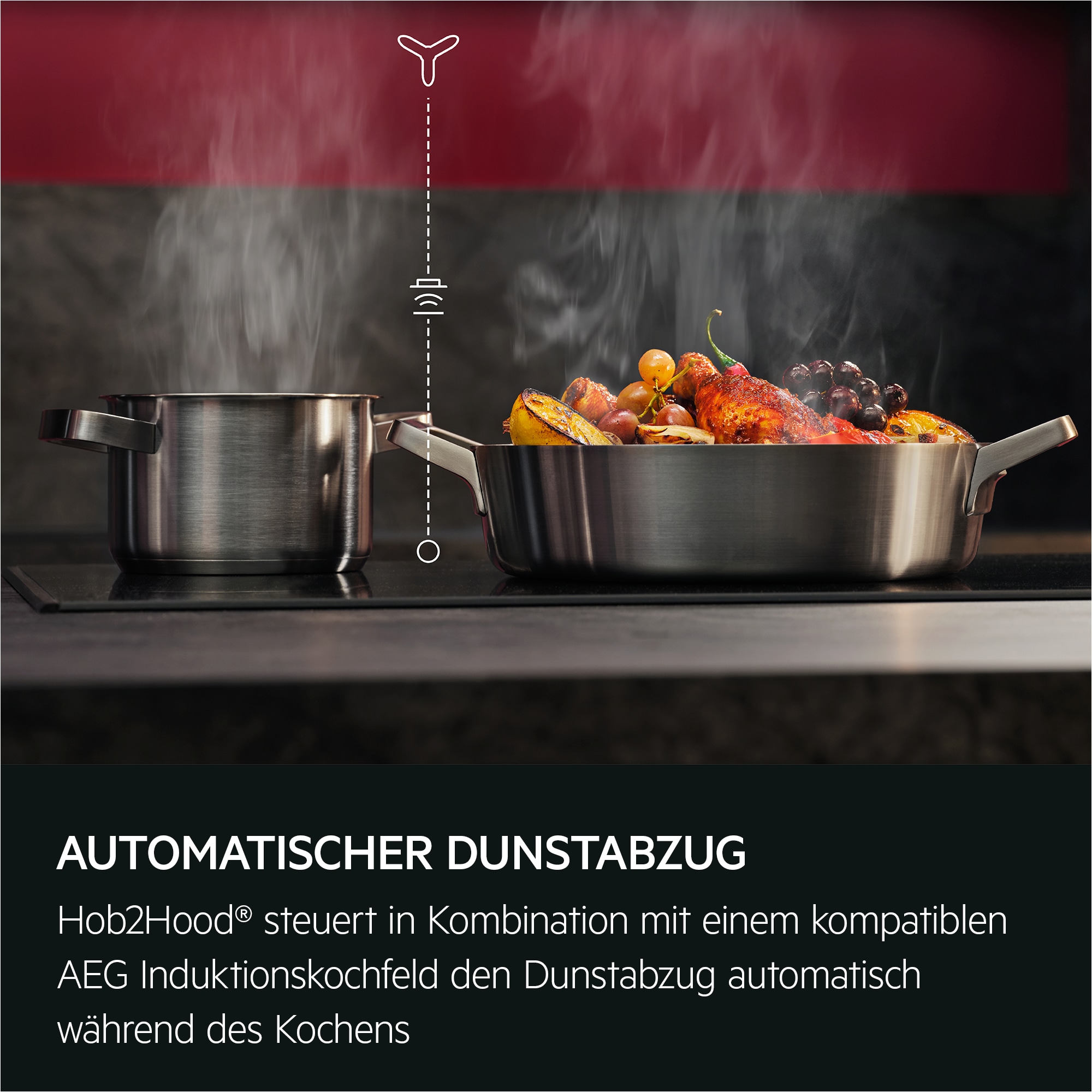 AEG - Schwarze Dunstabzugshauben - DLH6961B