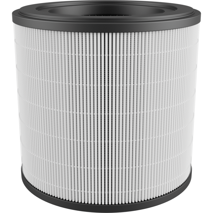 AEG - Filter für Luftreiniger - AFFCAR2