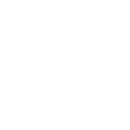 Bridge-Funktion