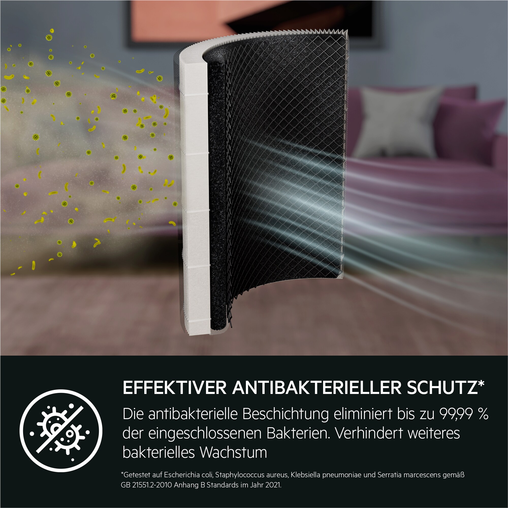 AEG - Filter für Luftreiniger - AFFCLN2
