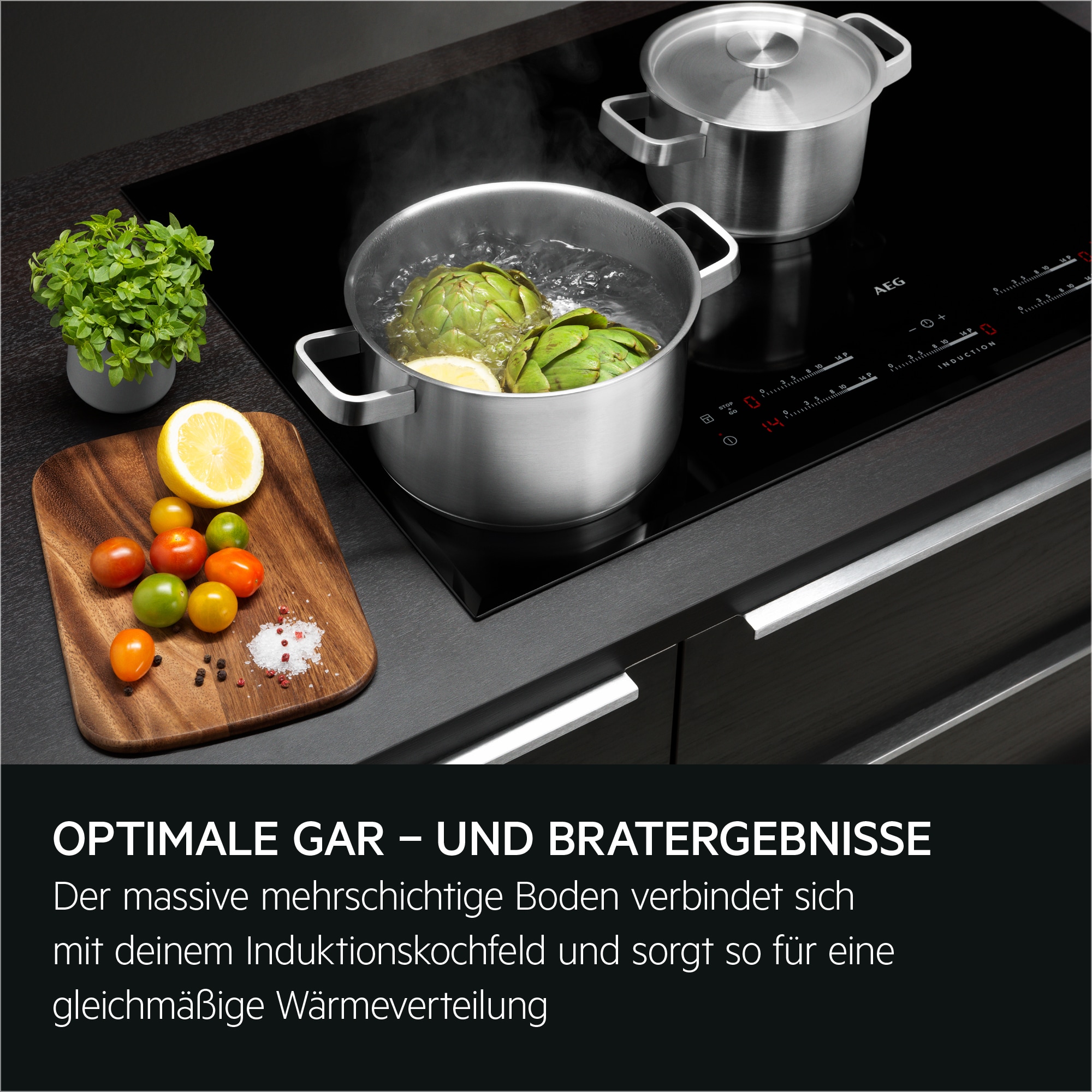 AEG - Casserole Set - A3SS