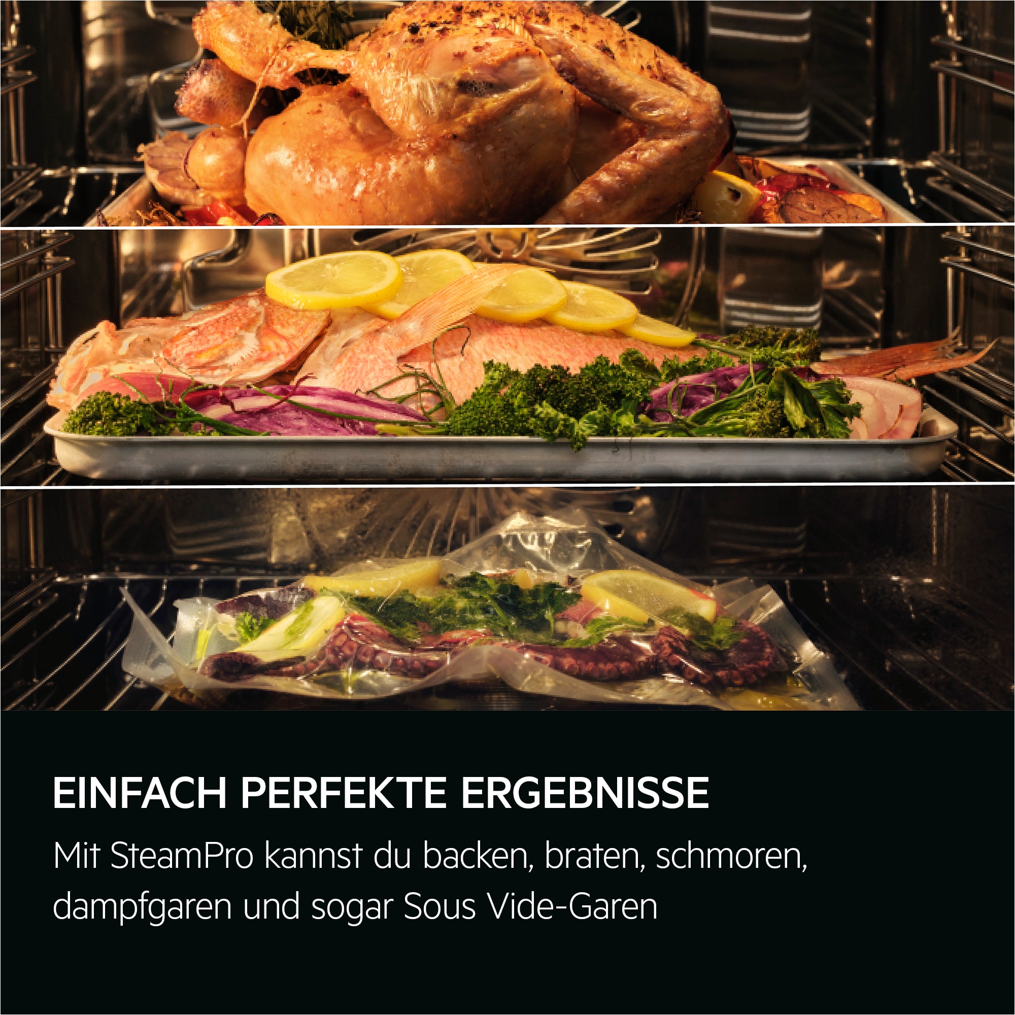 AEG - Dampfbacköfen - BS9900T