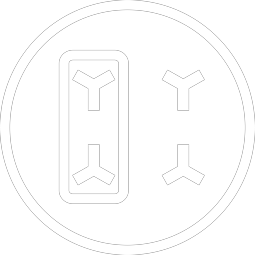 Bridge-Funktion 