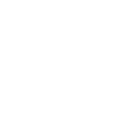 Wifi Vernetzung