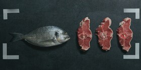 Verschiedene Fleisch- und Fischarten
