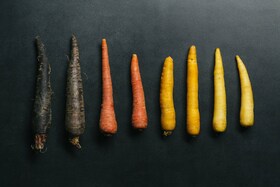 Eine Reihe von Möhren in verschiedenen Farben