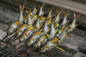 Fische, die auf Kohle gegrillt werden
